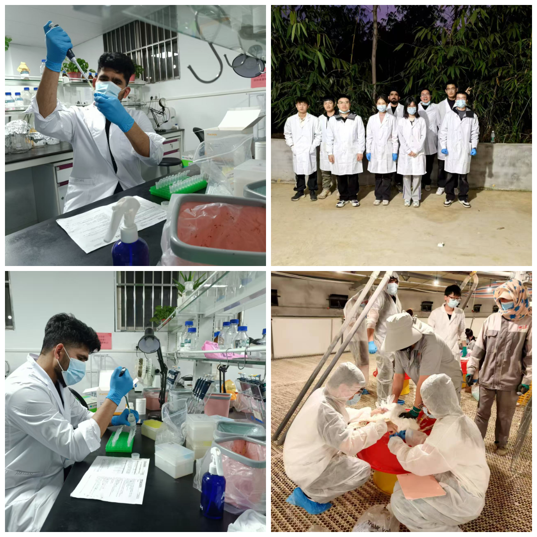 Ali Hassan Nawaz wearing a laboratory coat, mask and gloves while pipetting at the laboratory bench